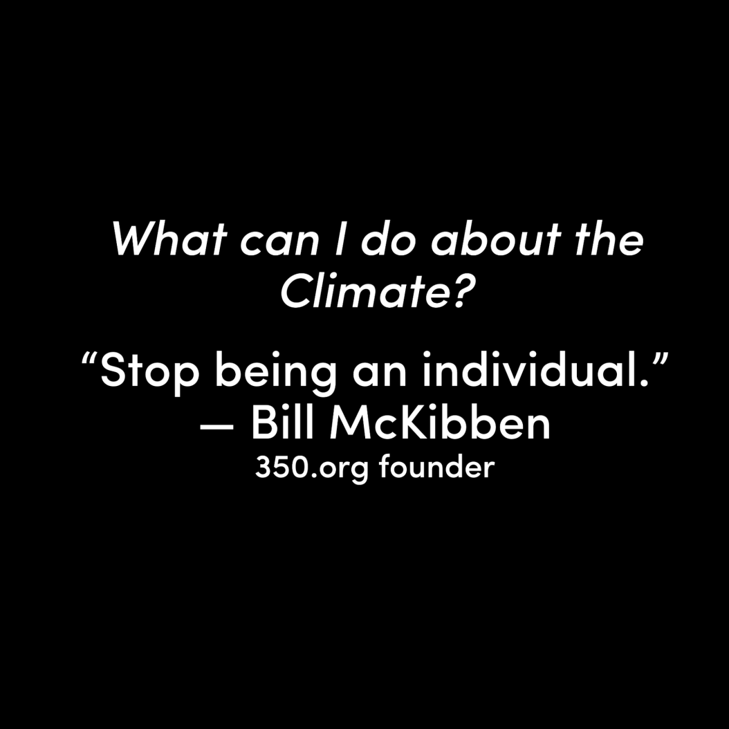 Mc Kibben quote2